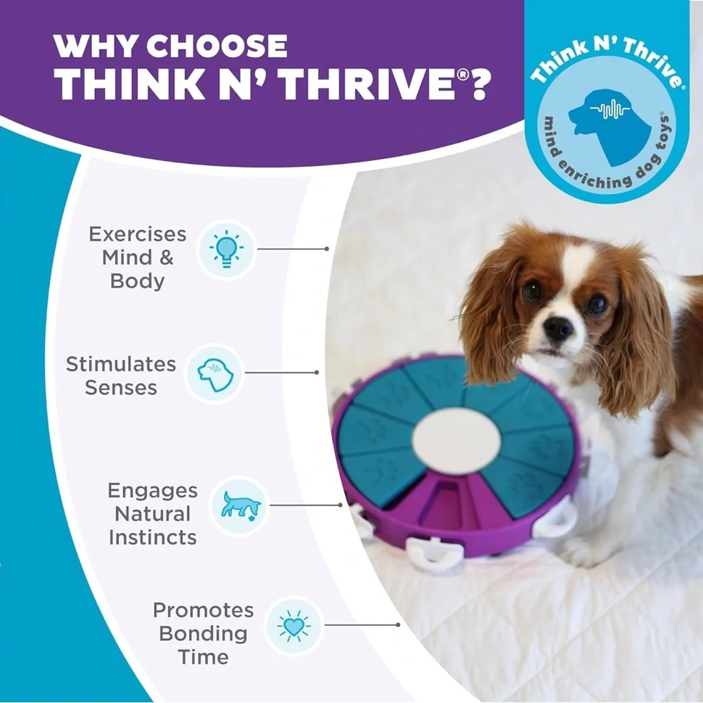 Outward Hound Purple and Teal Dog Enrichment Toy